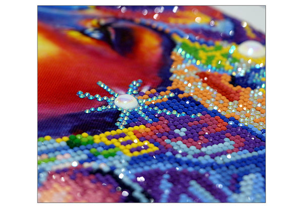 Secret Ritual Person