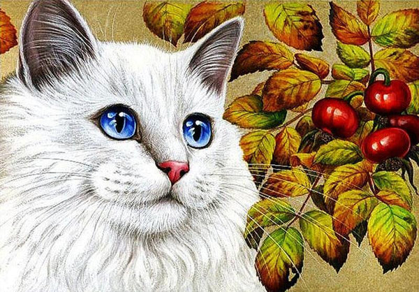 Good Cat Animal