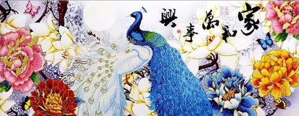 Majestic Peacocks Animal