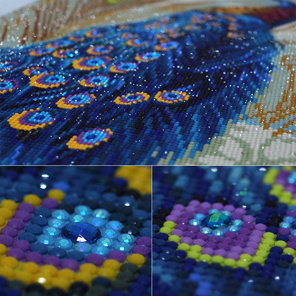 Spring Peacocks Animal