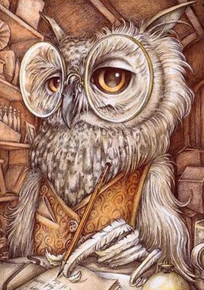 Wise Owl Animal
