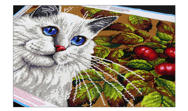 Good Cat Animal